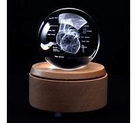 Corazón humano 3D con etiquetas, modelo anatómico pisapapeles (grabado con láser) en bola de cristal de regalo científico (base LED incluida)