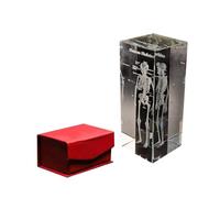 Corazón Humano Cerebro Modelo Anatómico Cubo De Cristal - Pisapapeles De Órgano Educativo(Skeleton)
