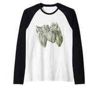Corazón Humano Pulmones Vintage Anatomía Médica Pulmones Humanos Corazón Camiseta Manga Raglan