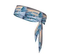 Corbata deportiva para la cabeza WHJSHOP pingüino Antártida impresión de hielo de secado rápido, absorbe la humedad para mujeres, niñas y hombres, entrenamiento, ligero, transpirable