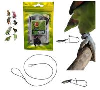 Cordón A1 elástico de 2 mm x 1 metro con mosquetón de 1 mm para insertar en el anillo de la pata de tu loro para llevarlo de vuelta, empacador de pata, correa pechera de PP