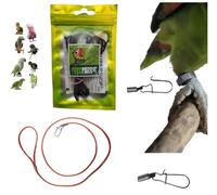 Cordón A1 elástico de 3 mm x 1 metro con mosquetón de 1 mm para insertar en el anillo de la pata de tu loro para llevarlo de vuelta, empacador de pata, correa pechera de PP