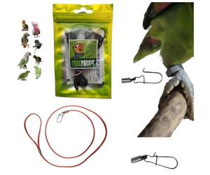 Cordón A1 elástico de 3 mm x 1 metro con mosquetón de 1 mm para insertar en el anillo de la pata de tu loro para llevarlo de vuelta, empacador de pata, correa pechera de PP