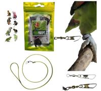 Cordón A2 elástico de 3 mm x 1 metro con mosquetón de 1 mm para insertar en el anillo de la pata de tu loro para llevarlo de vuelta, empacador de pata, correa pechera de PP