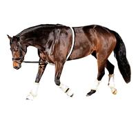 Cordón de equitación HorseGuard Soft Aid Full