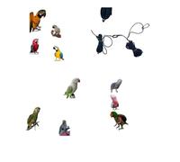 Cordón pata 2 metros: 1 metro de paracord verde para insertar en el anillo del loro y anudar, ver vídeo, y 1 metro de elástico para prevenir accidentes