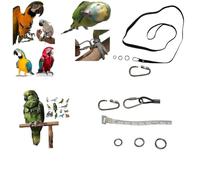 Cordón pata cinta 10 mm elástico y o 3 anillas 10, 12 y 14 mm, pata para enganchar correa de nuestro pezón de loros con mosquetón fuerte 2 mm a tornillo