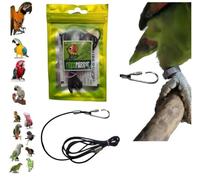 Cordón pata para anillo de tu loro cuerda 2 mm elástica 1 metro, arnés también como correa de nuestro pechera con gancho de tornillo 38 mm grosor 2,5 mm