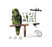 Cordón y pechera loros ajustable medida de cotorras a amazonas cuello 3 mm elástico y cinta 10 mm, hebillas de plástico o metal Correa 3 mm negra 1 m y 3 anillos para cordón pata