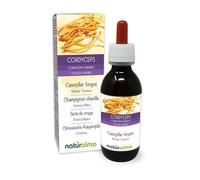 Cordyceps o Seta de oruga (Cordyceps sinensis o Ophiocordyceps sinensis) hongo Tintura Madre sin alcohol Naturalma - Extracto líquido gotas 120 ml - Complemento alimenticio - Vegano