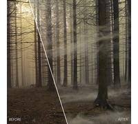 Corel - ParticleShop Editor gráfico Completo