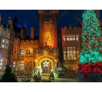 CORFOTO 1.8x1.2m Casa Loma Castillo Noche Fondo Decoración temática navideña Castillo Antiguo Fotografía Fondo Decoración de Fiesta de Navidad Retrato Fotomatón Banner Accesorios