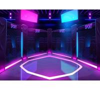 CORFOTO 1.8x1.2m Tela Jaula Octogonal MMA Morado Azul Neón Arena Deportiva Luces LED Brillantes Fondo Fotográfico Deporte Combate para Sesión Fiesta Tema Pelea