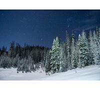 CORFOTO 2.7x1.8m Fond de montagne enneigée,arrière-Plan photographique d'une forêt de Pins enneigée la Nuit,scène hivernale froide,bannière de décoration pour fête de Noël,matériel photographique