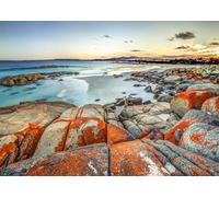 CORFOTO 2.7x1.8m La Reserva de los Jardines de la Bahía de los Fuegos Fondo para fotografía Playa de Arena Blanca Australia Costa Este Naturaleza Paisaje Fotografía Fondo Fotomatón