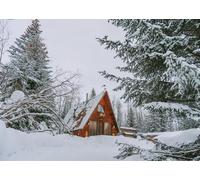CORFOTO 3.5x3m Fondo de fotografía de Bosque nevado con casa, Nieve Blanca Invernal, Paisaje nevado de Alaska, Fondos para Fotos, decoración de Fiesta de Navidad