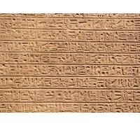 CORFOTO 3.5x3m Fondo de Pared con jeroglíficos egipcios Fondos de murales egipcios Civilización del Antiguo Egipto Fotografía Fondo Historia Viajes Estudio Prop