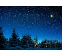 CORFOTO 3x2.5m Un décor de Ciel étoilé de Noël, Avec l'étoile de Bethléem qui parsème la forêt de Pins, Parfait pour Les Photos, Les décorations de fête de Noël et Les Accessoires de Studio