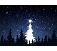 CORFOTO 3x2m Tela Bosque nevado Estrellado Oscuro árbol Navidad Silueta Blanca Estrella Cima Fondo Navidad Invierno Minimalista Fondo fotográfico Retrato