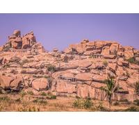 CORFOTO 4.6x2.5m Tela Ruinas de Templo rocoso de Hampi Paisaje árido Palmera Decor Patrimonio Indio Antiguo Fondo fotográfico para sesión temática Photo Booth