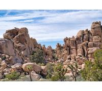 CORFOTO Fondo de Tela 2.1x1.5m Paisaje Desértico de Joshua Tree con Grandes Formaciones Rocosas, Arbustos del Desierto y Cielo Azul Vívido para Fotografía de Aventura al Aire Libre