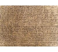 CORFOTO Tela 1.5x1.2m Fondo Escritura Cuneiforme Escritura Mesopotámica Antigua Escena Histórica Fondo Fotográfico para Fiesta de Educación Cultural Accesorios de Foto