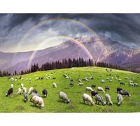CORFOTO Tela 1.5x1m Doble Arcoíris Montaña Fondo Rebaño de Ovejas Bajo Arcoíris Vibrante sobre Colinas Verdes Fondo Fotográfico para Fiesta Temática Naturaleza Accesorios de Foto
