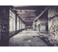 CORFOTO Tela 2.1x1.5m Fábrica Abandonada Graffiti Fondo Vintage Urban Decay Almacén Industrial Fondo Fotográfico para Fiesta Temática Street Art Accesorios de Foto