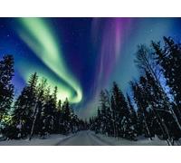 CORFOTO Tela 4.5x2.5m Bosque de Las Luces del Norte Fondo Aurora Boreal Vibrante sobre Pinos Nevados y Cielo Estrellado Fondo Fotográfico para Fiesta Temática Naturaleza Ártica Accesorios de Foto