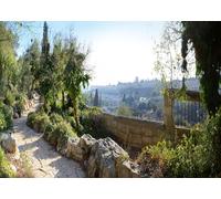 CORFOTO Tela 4.5x2.5m Vista Ciudad Vieja de Jerusalén Fondo Cúpula de la Roca Desde Sendero de Senderismo del Monte de los Olivos Fondo Fotográfico para Fiesta Temática Viaje Tierra Santa