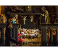 CORFOTO Tela 5.2x3m Belén Navideño Fondo Pesebre con Sagrada Familia Burro Buey Estatua Fondo Fotográfico para Fiesta Festiva Religiosa Accesorios de Foto