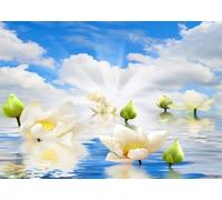 CORFOTO Tela 6x3m (20x10FT) Fondo Loto Blanco Agua Reflejo de Cielo Sereno para SPA Boda Meditación Mujeres Adultos
