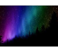 CORFOTO Tela 6x3m Luces del Norte Cielo Estrellado Fondo Aurora Boreal Multicolor con Siluetas de Pinos Fondo Fotográfico para Fiesta Temática Cielo Nocturno Fantástico Accesorios de Foto