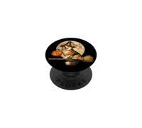 Corgi Sombrero de Bruja Jack O Lantern Calabaza Luna Llena Escoba PopSockets PopGrip Adhesivo