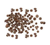 CORHAD 200 Tapas de Bellota Reales para Manualidades Navideñas y Decoración Rústica, Material Natural Café, Ideales para Actividades Creativas en Invierno y Otoño