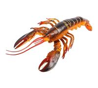 CORHAD Modelo de Langosta Simulada de 33 Cm, Figura Educativa de Plástico Seguro, Decoración Realista para Jardín y Escritorio, Juguete Didáctico, Figura Animal de Simulación