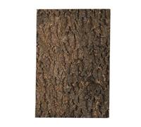 Cork Bark For Terrarium, 40 x 30 x 1 cm Landscaping Ornament Water-Resistant,Engaging Terrarium Design Natural Cork Bark | For Snake Lizard Tortoise Gecko Turtle Chameleon Pet Keepers Animal Lovers