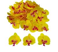 Corkwaw 50 pétalos de orquídea artificiales para decoración de orquídeas, flores de seda sintética Phalaenopsis, cabeza de mariposa para decoración del hogar, boda, fiesta (amarillo)