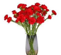 Corkwaw Claveles Artificiales Hechos de Seda, hortensias, Ramo, Planta de plástico, adecuados para Accesorios de Fotos, Fiesta Familiar, Ramo de Novia, decoración (Rojo)