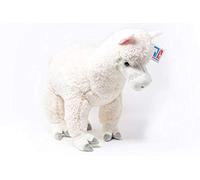 Cornelißen Peluche de alpaca blanca, grande, 40 cm