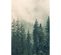 Cornell Notebook: B5, Softcover, 101 Sheets, 200 Cornell Pages with lines, matte covers: First Page for Basic Info, High-Quality Paper, Perfect for School and Office