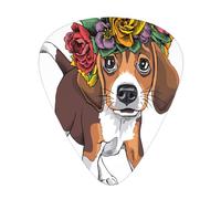 Corona floral para la cabeza de cachorro beagle,12 púas de guitarra, 3 grosores diferentes para guitarra acústica, bajo y ukelele