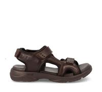 Coronel Tapiocca Sandalias Hombre 702 Marron
