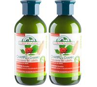 Corpore Sano - Champú Reforzante, Cabello Débil, Ingredientes Naturales, con Ginseng y Ginkgo de Cultivo Bio Certificado, Hipoalargénico y Vegano, Sin Parabenos, Colorantes ni Siliconas, 300ml