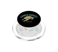 Corpus Christi Texas, diseño de Tortuga Marina PopSockets PopGrip para MagSafe