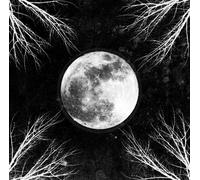 Corpus Christii Pale Moon (CD) Album (Importación USA)