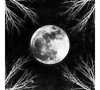 Corpus Christii Pale Moon (LP) (Vinyl)