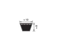 Correa 13 x 838 A 33 trapezoidal
