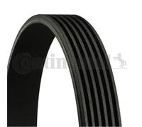 Correa acanalada Contitech para Lexus Gs Mitsubishi Outlander Toyota Celica S...