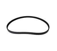 Correa Accesorios Poly-v Stried compatible Corvette C5 1998-2004